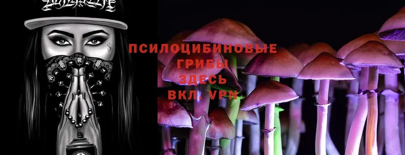 Псилоцибиновые грибы Cubensis  Катайск 